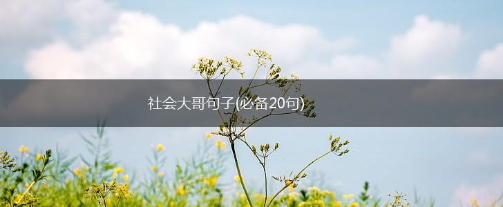 社会大哥句子(必备20句),第1张