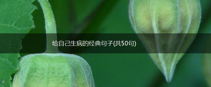 给自己生病的经典句子(共50句),第1张