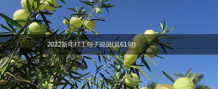 2022新年打工句子说说(共61句),第1张