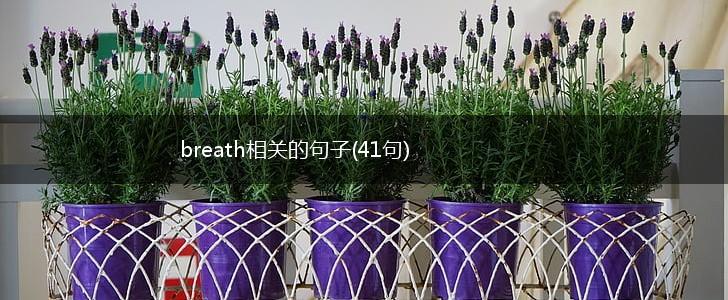 breath相关的句子(41句),第1张