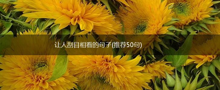 让人刮目相看的句子(推荐50句),第1张