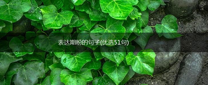 表达期盼的句子(优选51句),第1张