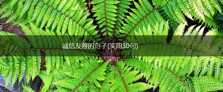 诚信友善的句子(实用30句),第1张