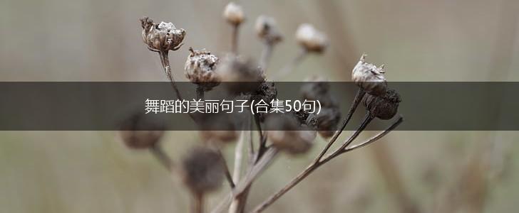 舞蹈的美丽句子(合集50句),第1张