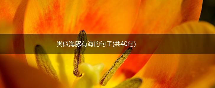 类似海豚有海的句子(共40句),第1张