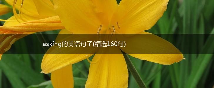 asking的英语句子(精选160句),第1张