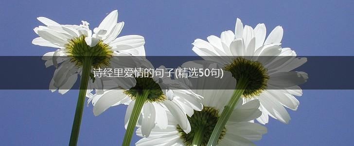 诗经里爱情的句子(精选50句),第1张