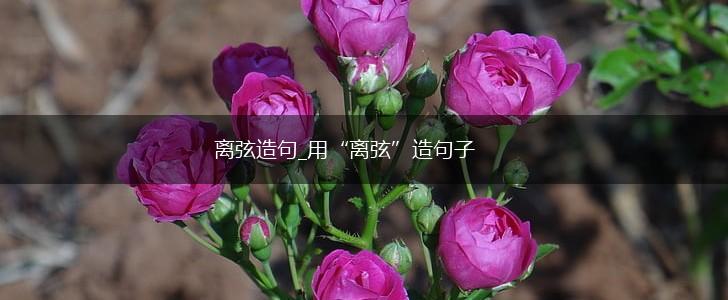 离弦造句_用“离弦”造句子,第1张