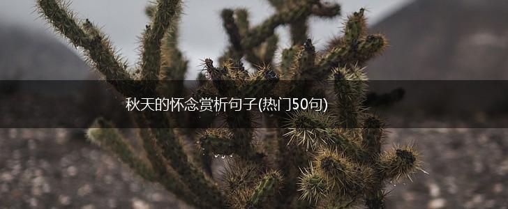 秋天的怀念赏析句子(热门50句),第1张