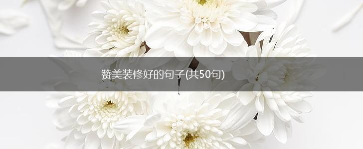 赞美装修好的句子(共50句),第1张