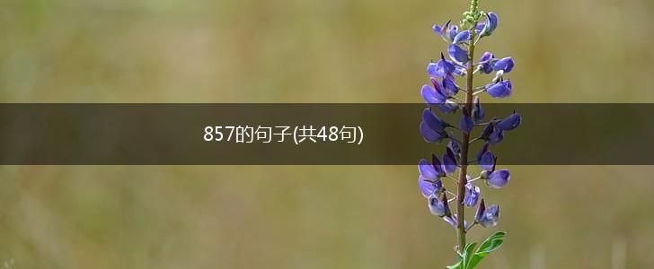 857的句子(共48句),第1张