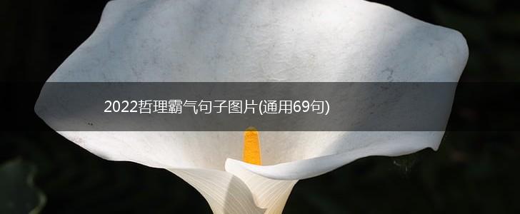 2022哲理霸气句子图片(通用69句),第1张