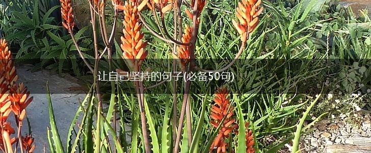 让自己坚持的句子(必备50句),第1张