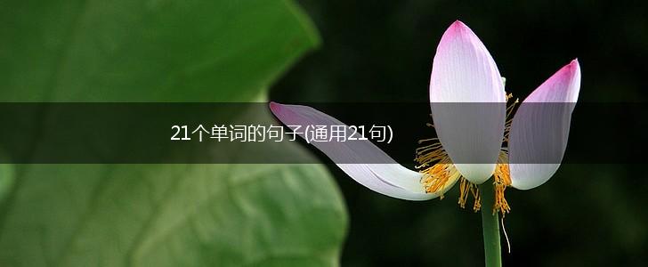 21个单词的句子(通用21句),第1张