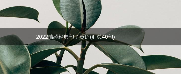 2022情感经典句子英语(汇总40句),第1张