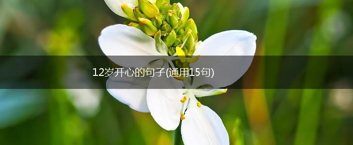 12岁开心的句子(通用15句),第1张