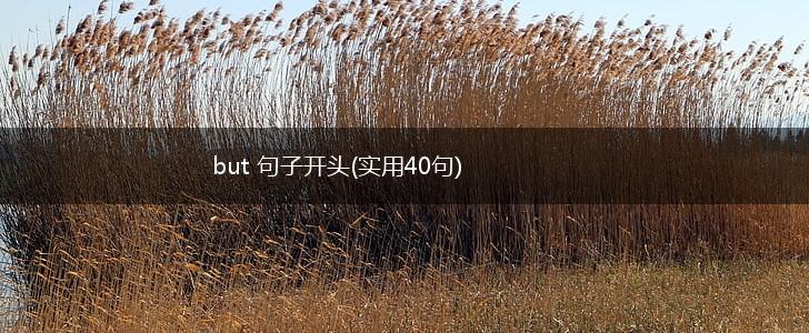 but 句子开头(实用40句),第1张