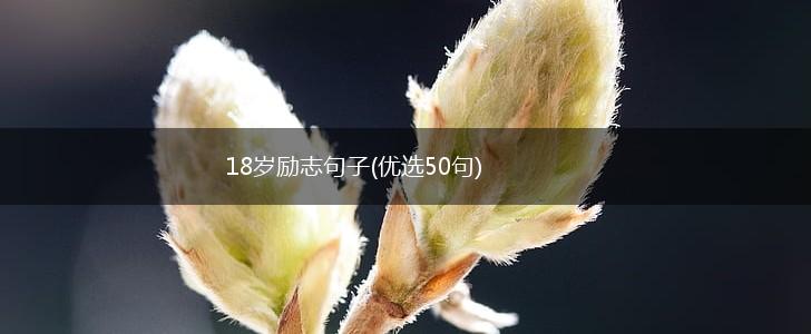 18岁励志句子(优选50句),第1张