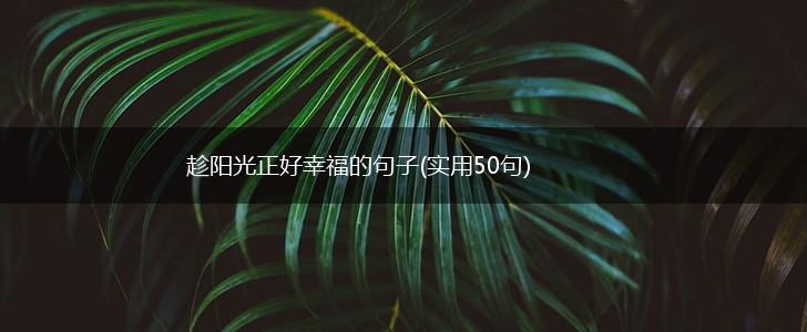 趁阳光正好幸福的句子(实用50句),第1张