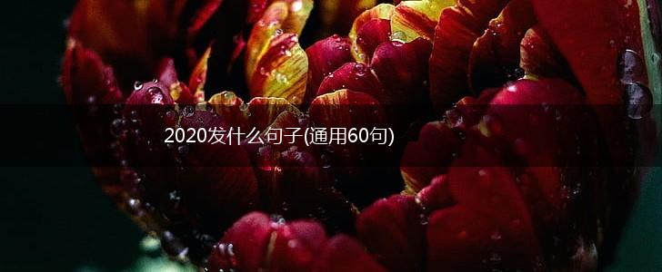 2020发什么句子(通用60句),第1张