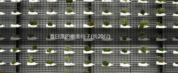 看日落的唯美句子(共20句),第1张