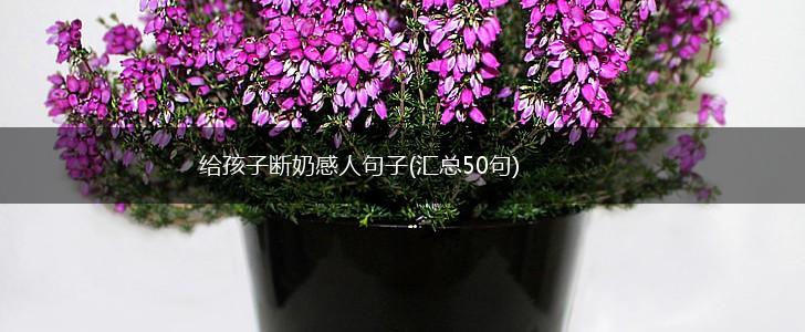 给孩子断奶感人句子(汇总50句),第1张