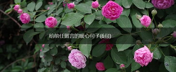 给前任留言的暖心句子(6句),第1张