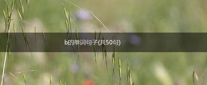 b的单词句子(共50句),第1张
