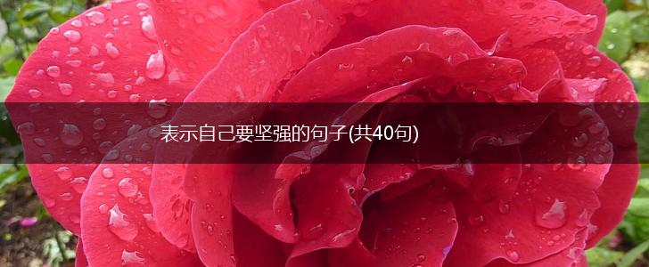 表示自己要坚强的句子(共40句),第1张