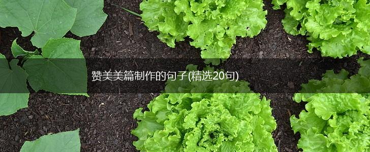 赞美美篇制作的句子(精选20句),第1张