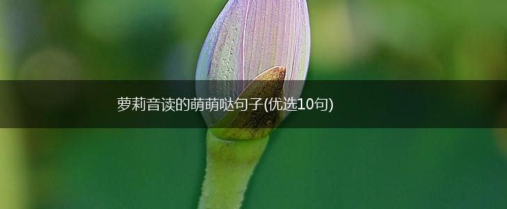 萝莉音读的萌萌哒句子(优选10句),第1张