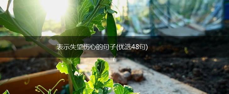 表示失望伤心的句子(优选48句),第1张