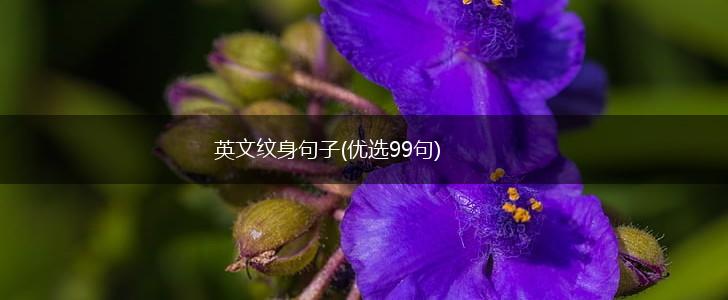 英文纹身句子(优选99句),第1张