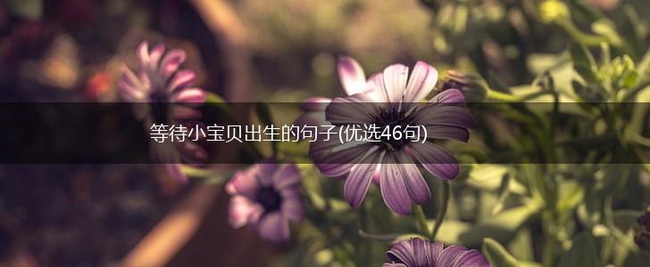等待小宝贝出生的句子(优选46句),第1张