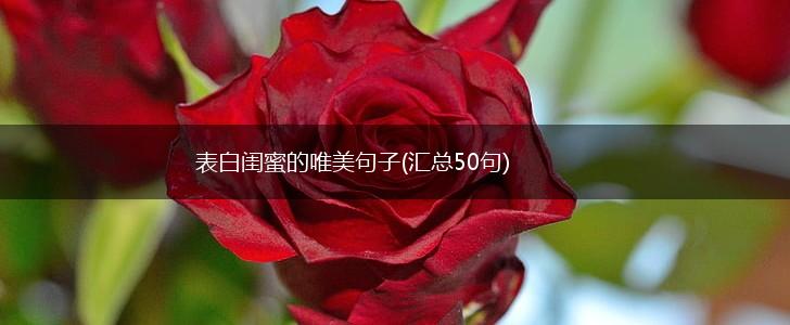 表白闺蜜的唯美句子(汇总50句),第1张