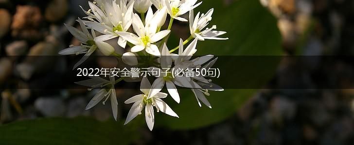 2022年安全警示句子(必备50句),第1张