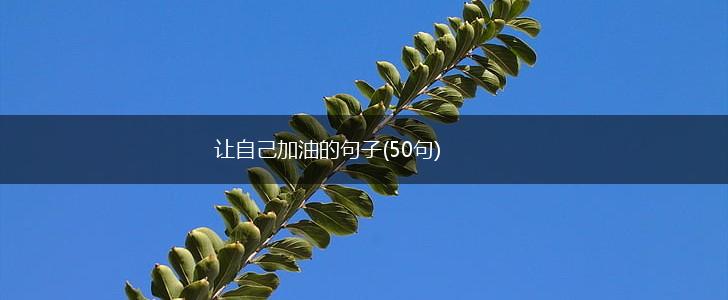 让自己加油的句子(50句),第1张