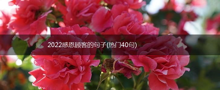 2022感恩顾客的句子(热门40句),第1张