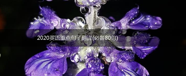 2020英语重点句子翻译(必备80句),第1张