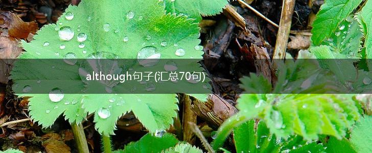 although句子(汇总70句),第1张