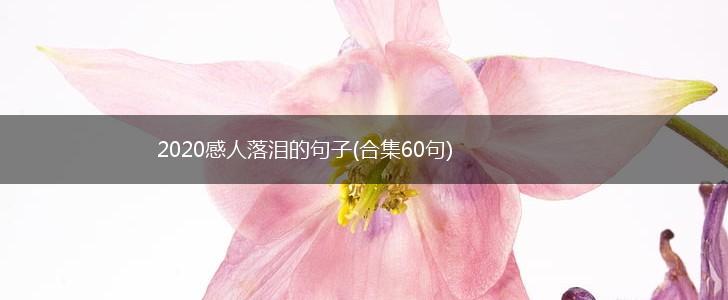 2020感人落泪的句子(合集60句),第1张