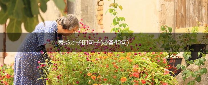 表扬才子的句子(必备40句),第1张