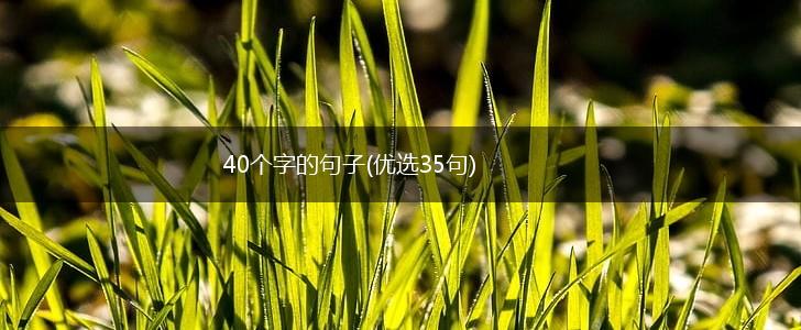 40个字的句子(优选35句),第1张