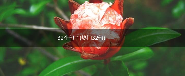 32个句子(热门32句),第1张