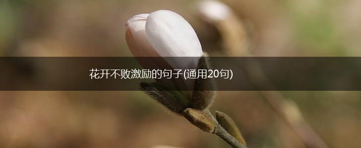 花开不败激励的句子(通用20句),第1张