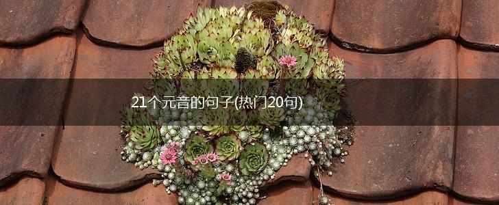 21个元音的句子(热门20句),第1张