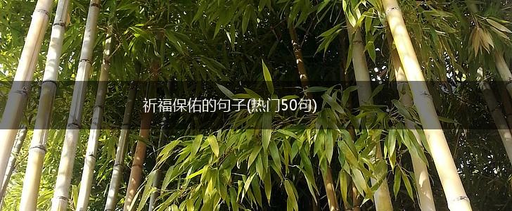 祈福保佑的句子(热门50句),第1张