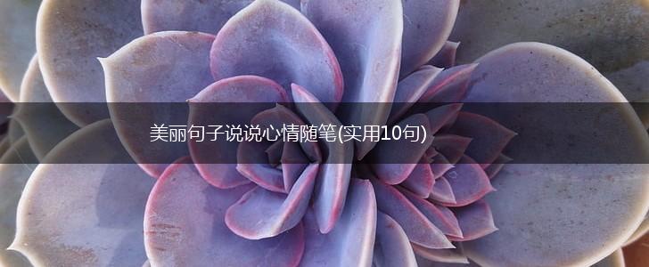 美丽句子说说心情随笔(实用10句),第1张
