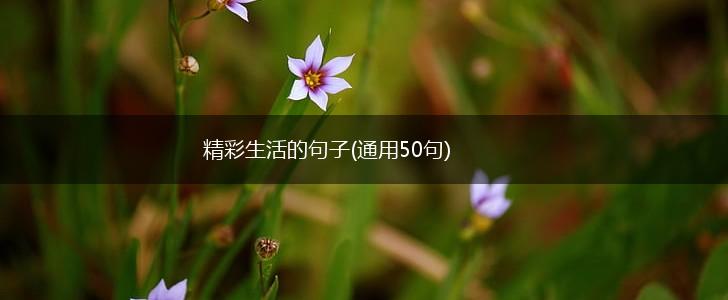 精彩生活的句子(通用50句),第1张