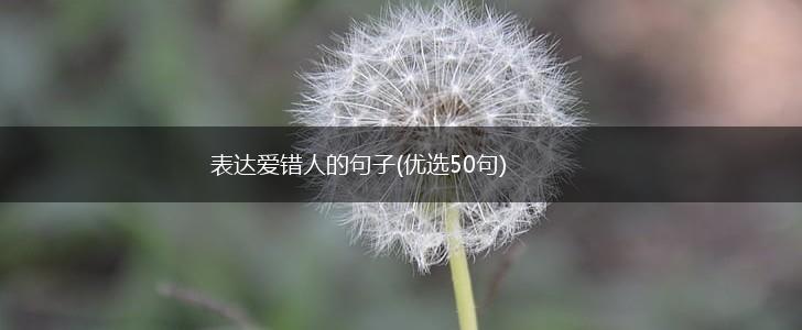 表达爱错人的句子(优选50句),第1张